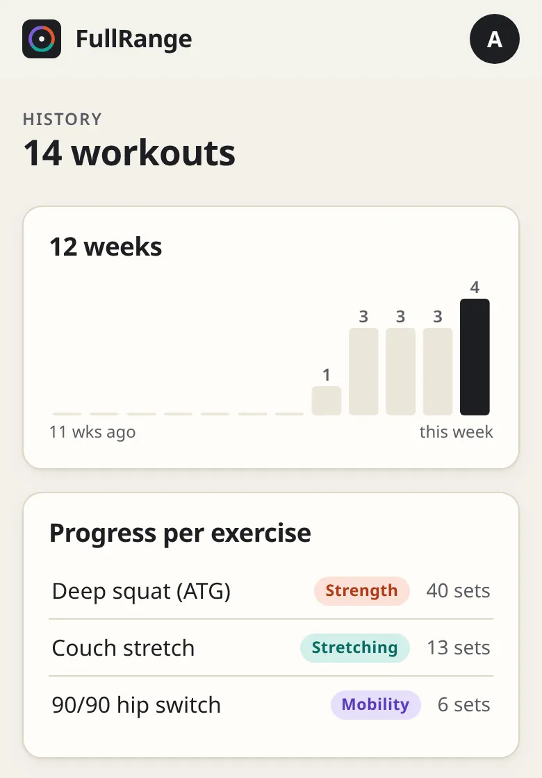 History in the app: 14 workouts, bars for the last 12 weeks and progress per exercise with the number of sets